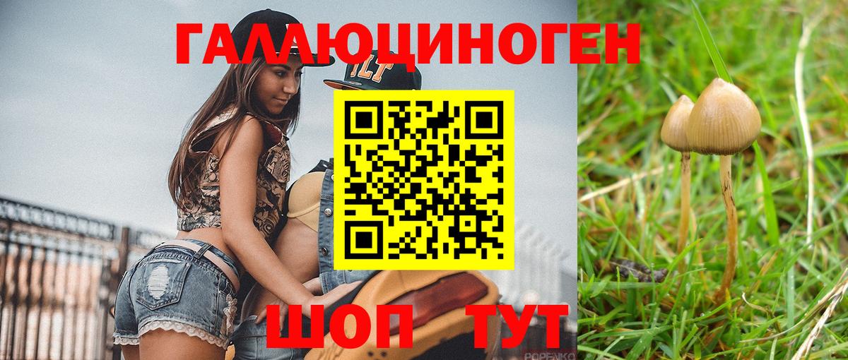 Псилоцибиновые грибы прущие грибы Аша