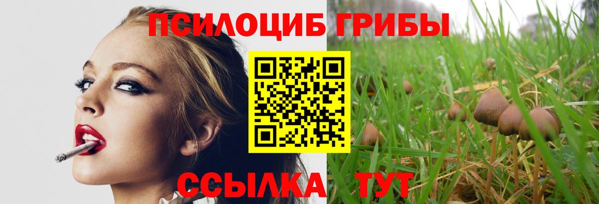 Аша  Галлюциногенные грибы мухоморы  Вход с VPN  Псилоцибиновые грибы Magic Shrooms 