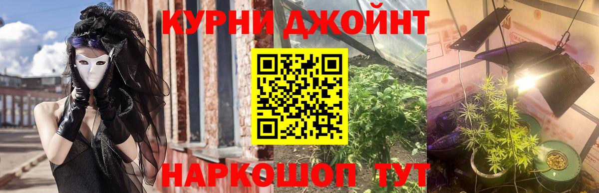 Марихуана гибрид Аша